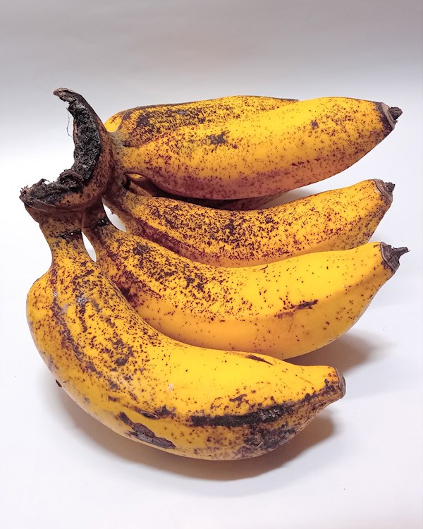 La Banane Latundan